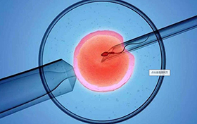 贺北京龙惠科技胚胎移植导管取证！