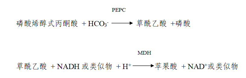 6a69b0ae98347.png